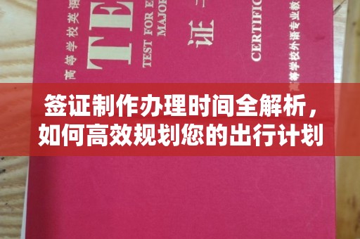 恩平签证制作办理时间全解析，如何高效规划您的出行计划