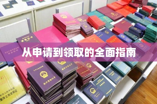 恩平从申请到领取的全面指南