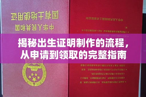 恩平揭秘出生证明制作的流程，从申请到领取的完整指南